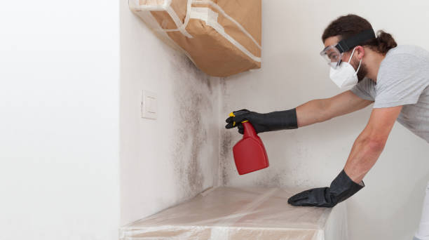 Professional Mold Remediation technician working in Moonachie, NJ